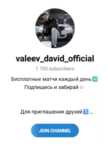 аналитик Давид Валеев