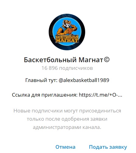 Баскетбольный Магнат отзывы Баскетбольный Магнат отзывы