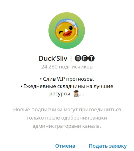 Duck Sliv отзывы