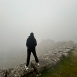 Эрлистатик