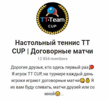 Настольный теннис TT CUP отзывы Настольный теннис TT CUP отзывы