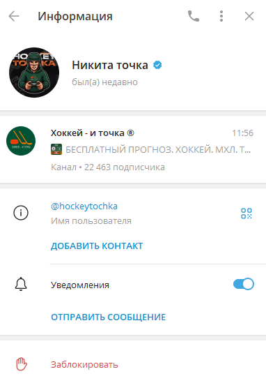 отзывы о Hockeytochkaa