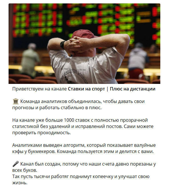 отзывы Ставки на спорт | Плюс на дистанции