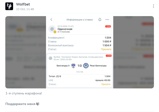 отзывы WolfBet