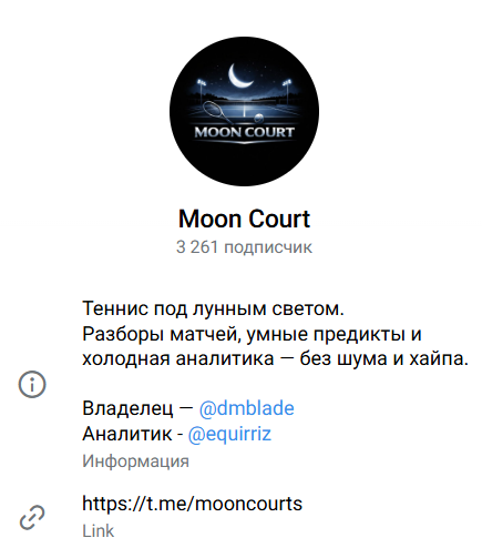 прогнозист mooncourts
