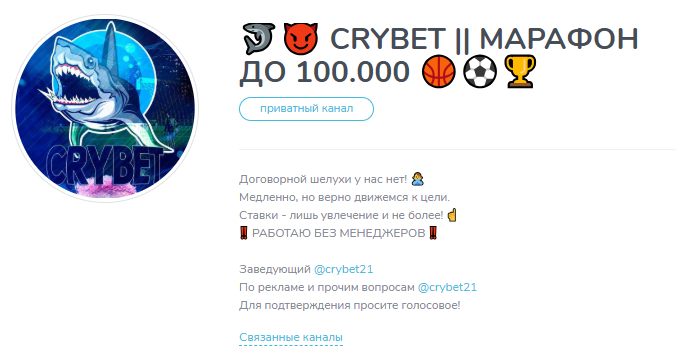 прогнозист Nikita