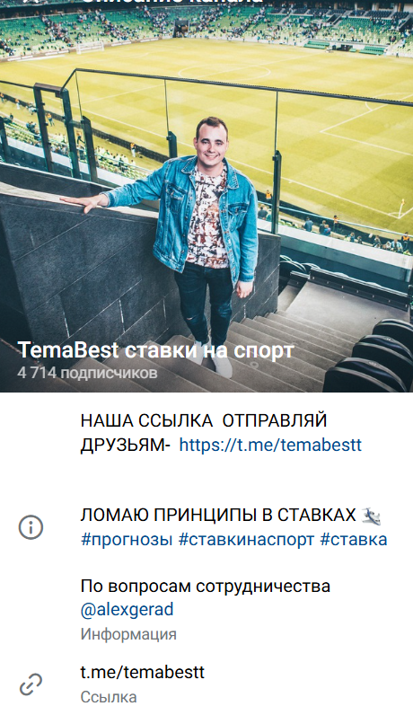 прогнозист ТемаБест