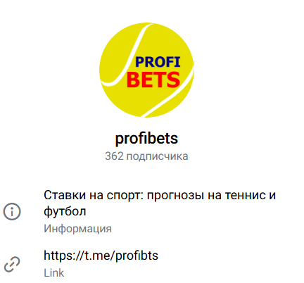 прогнозист Владимир Чаплыгин