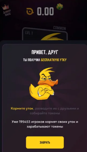 прогнозы DUCK × MY × DUCK