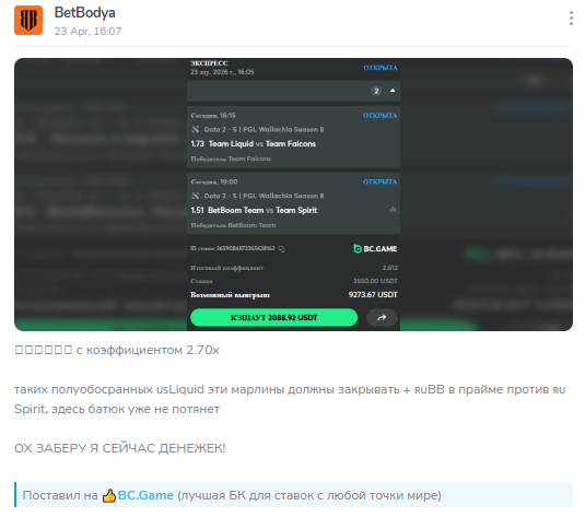 статистика BetBodya