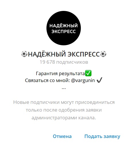 Team VARG отзывы