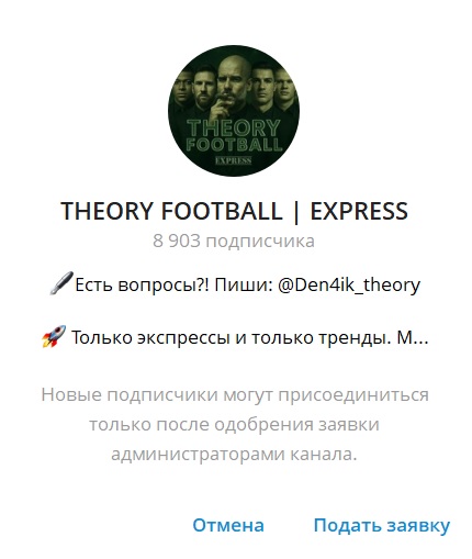 Theory Express отзывы