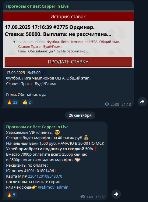 Василий Ефимов каппер Василий Ефимов каппер
