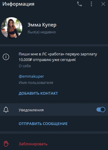 Vip Спортивная Аналитика телеграмм